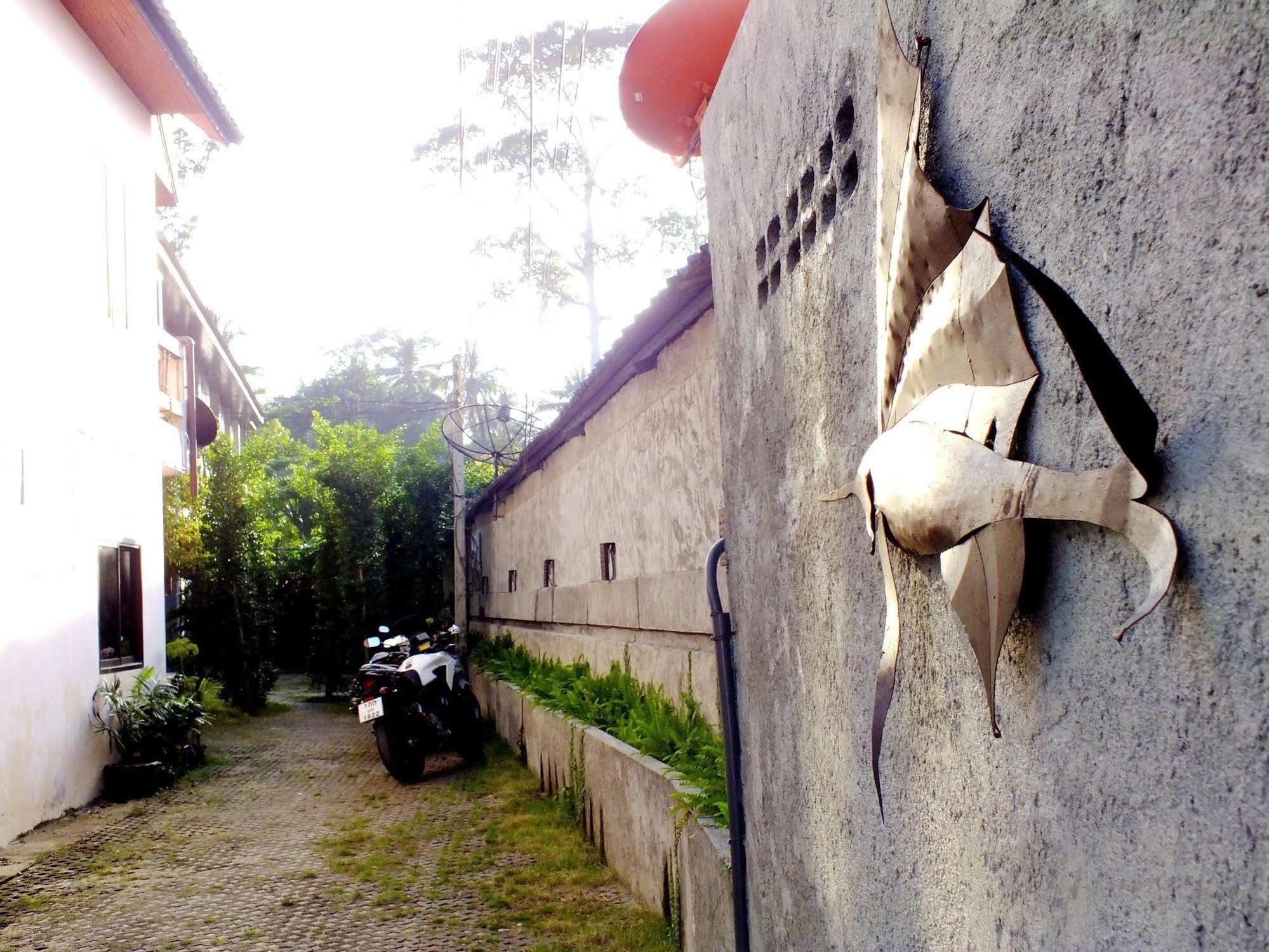 The Cave Guest house