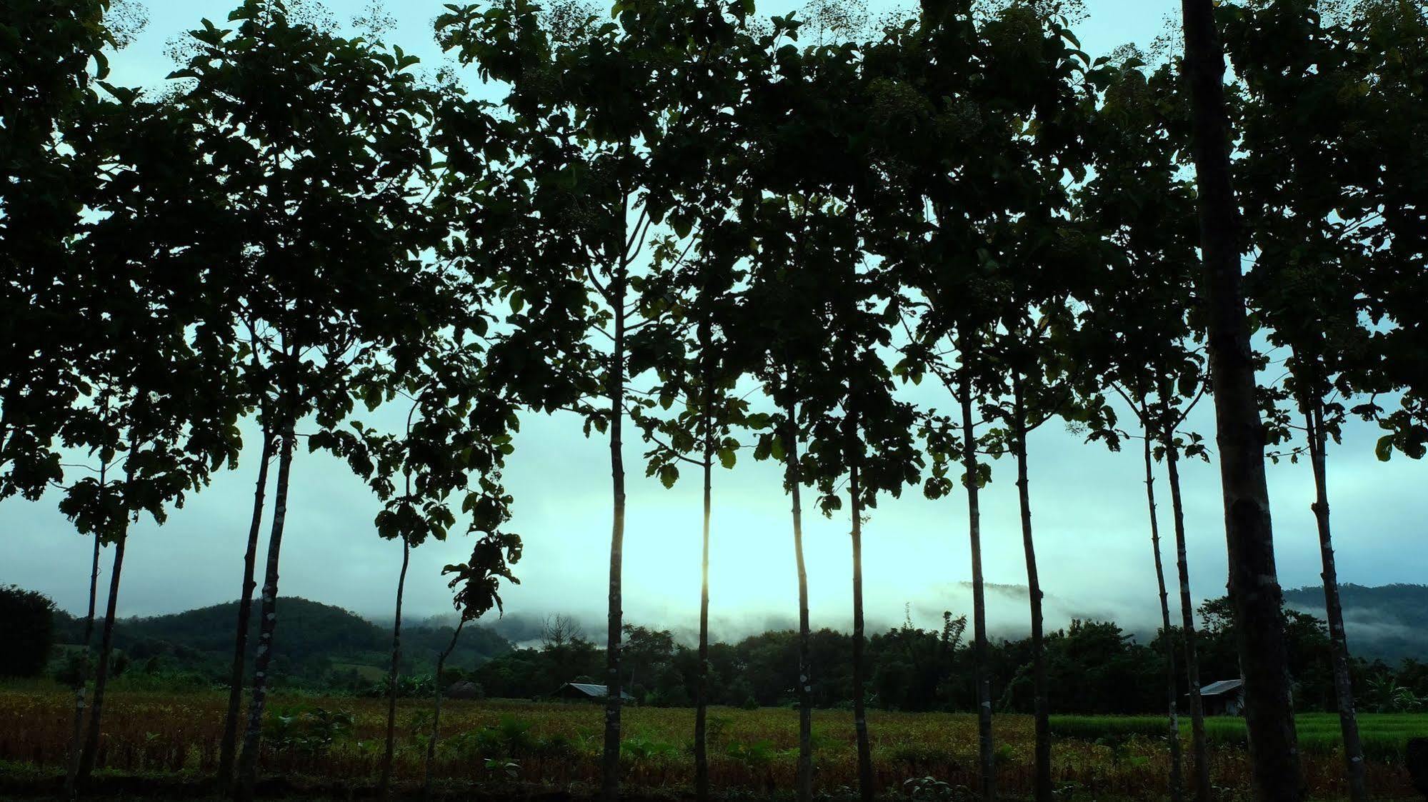 Resort At Pai
