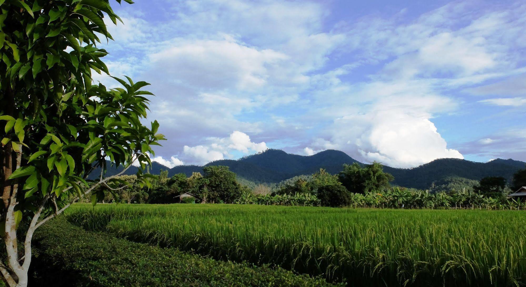 At