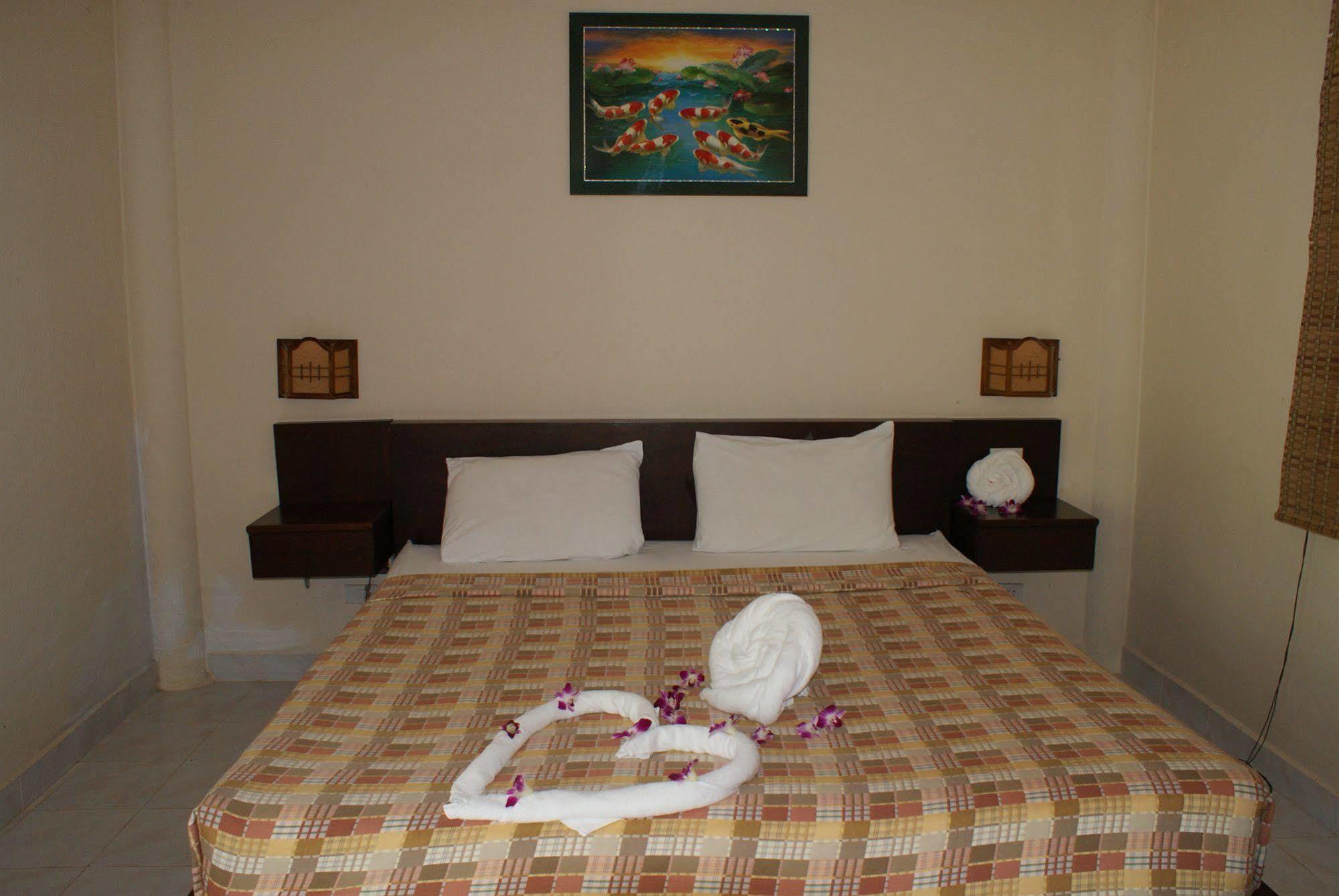 Coral 2*