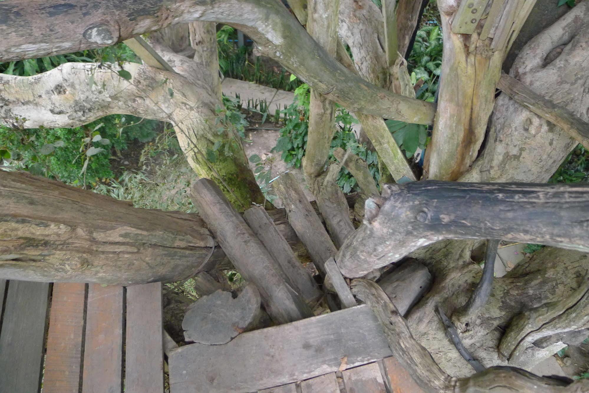 Treehouse Resort