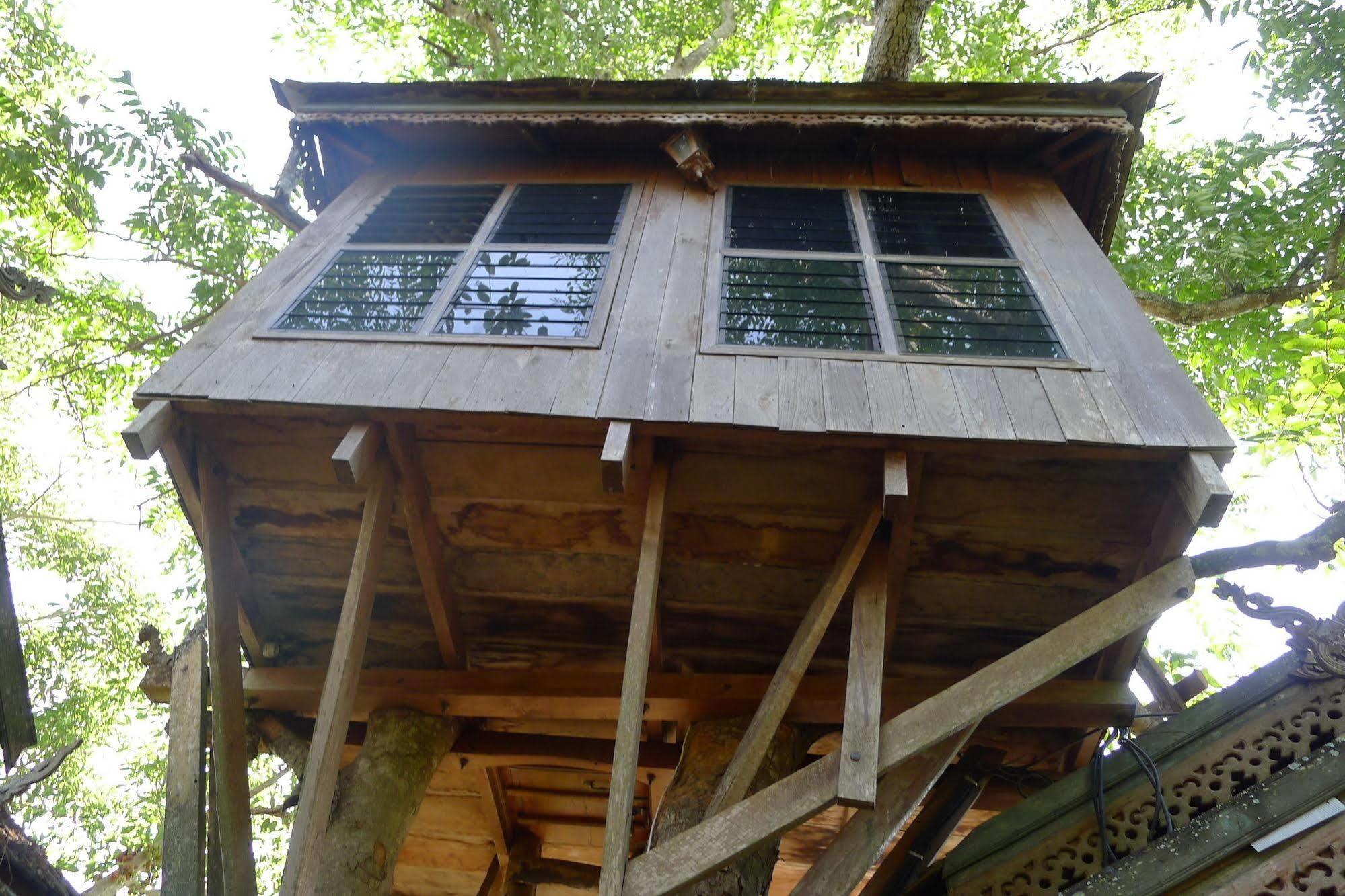 Resort Treehouse