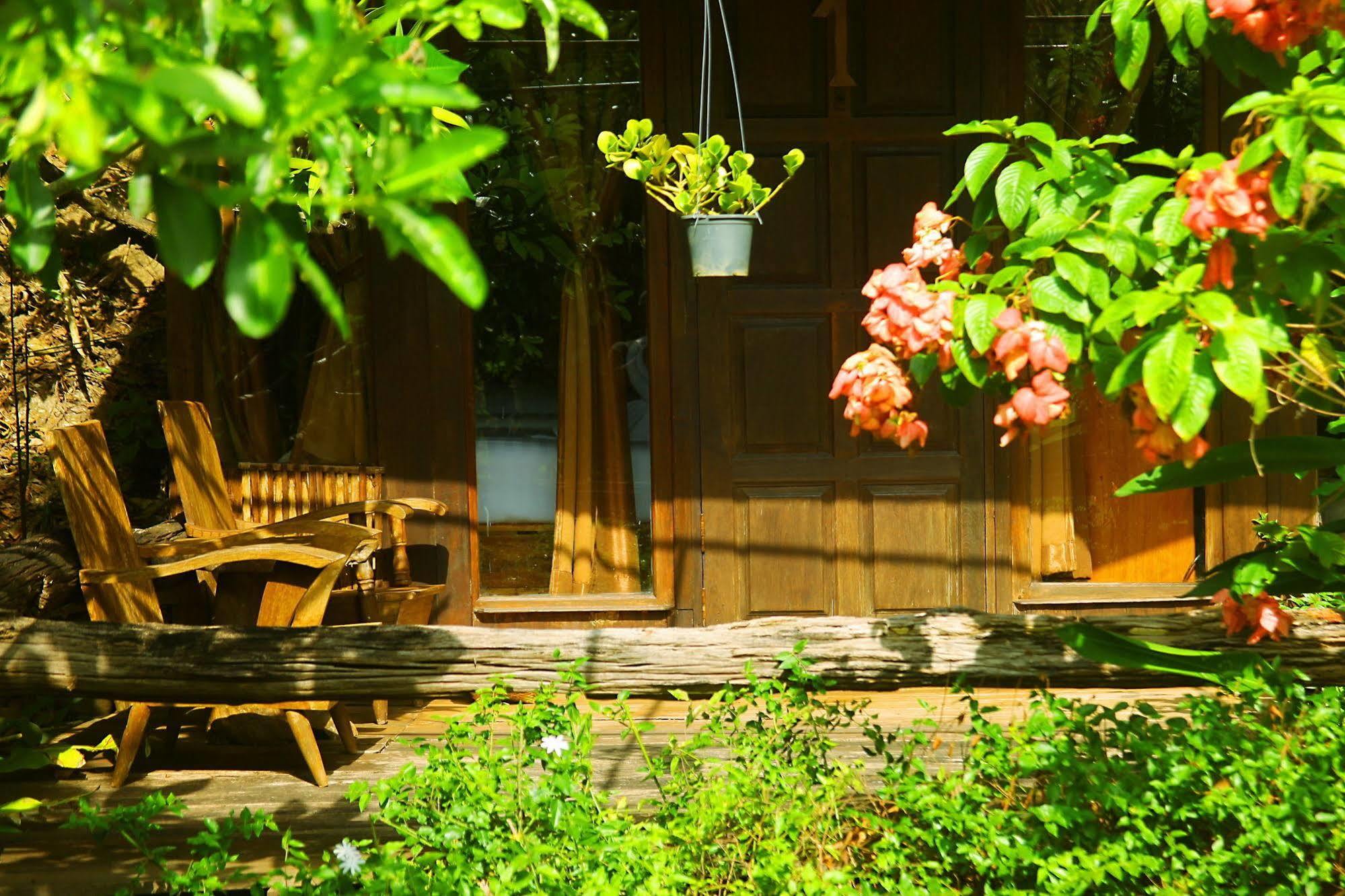 Resort Treehouse