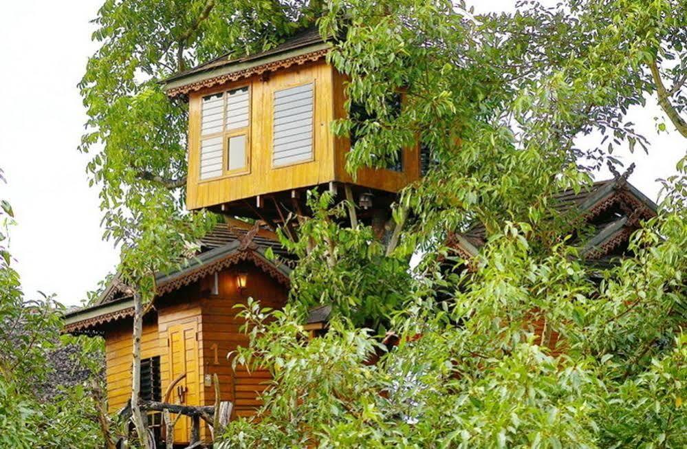 Resort Treehouse 3*