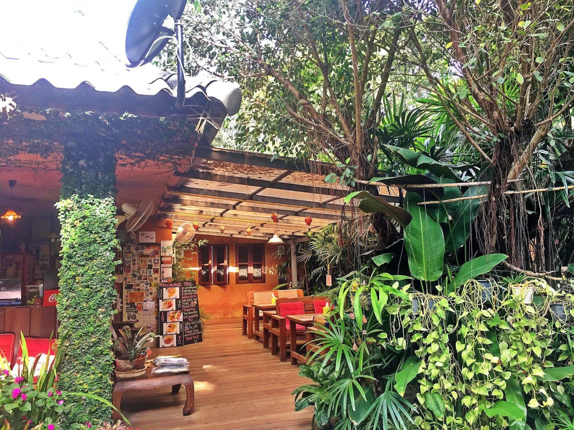 Breeze Of 3* Pai