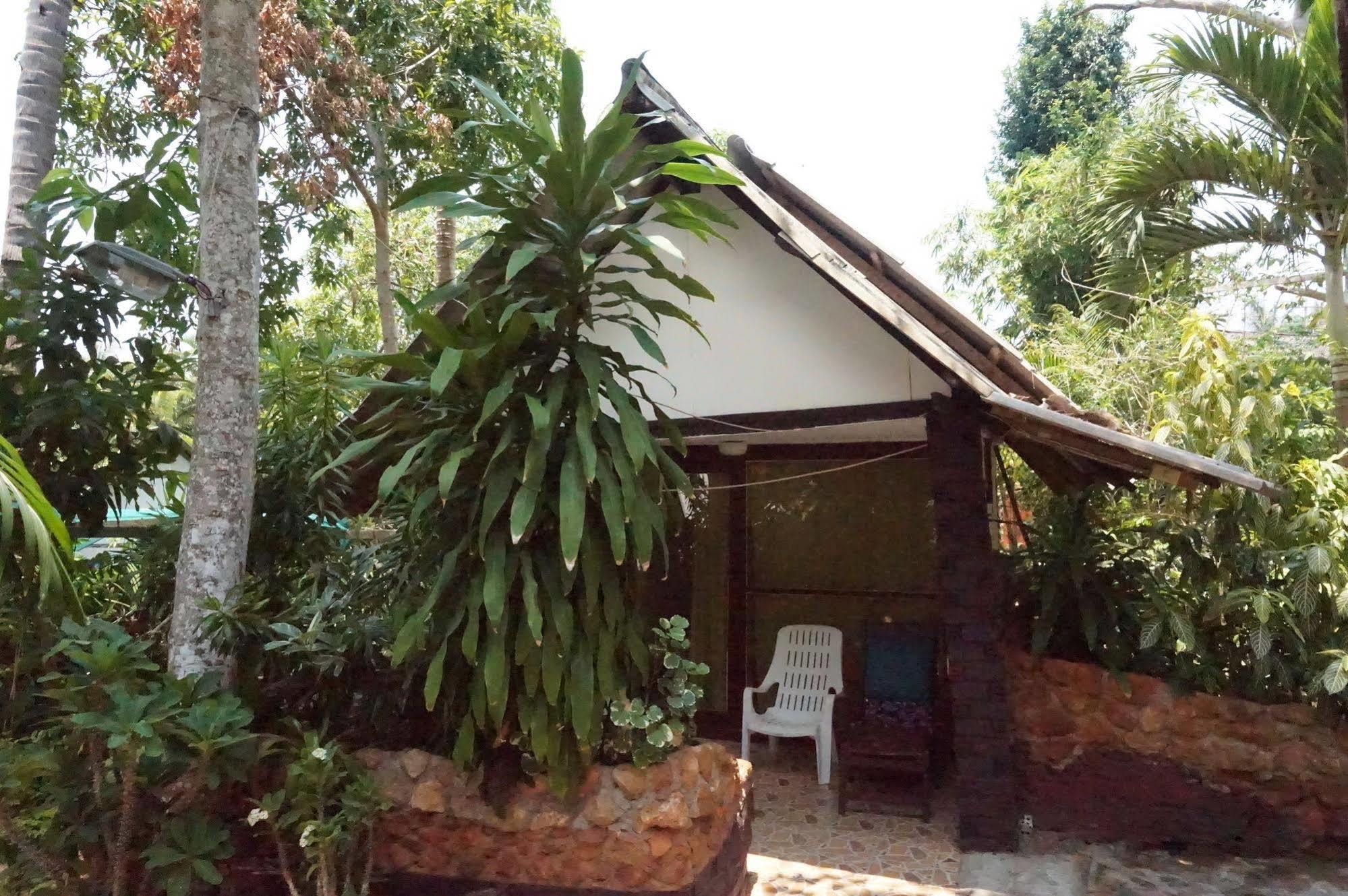 Pine * Krabi