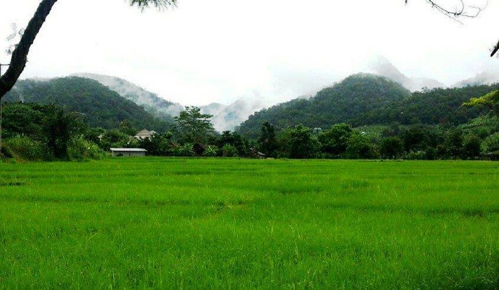 Do Resort Pai