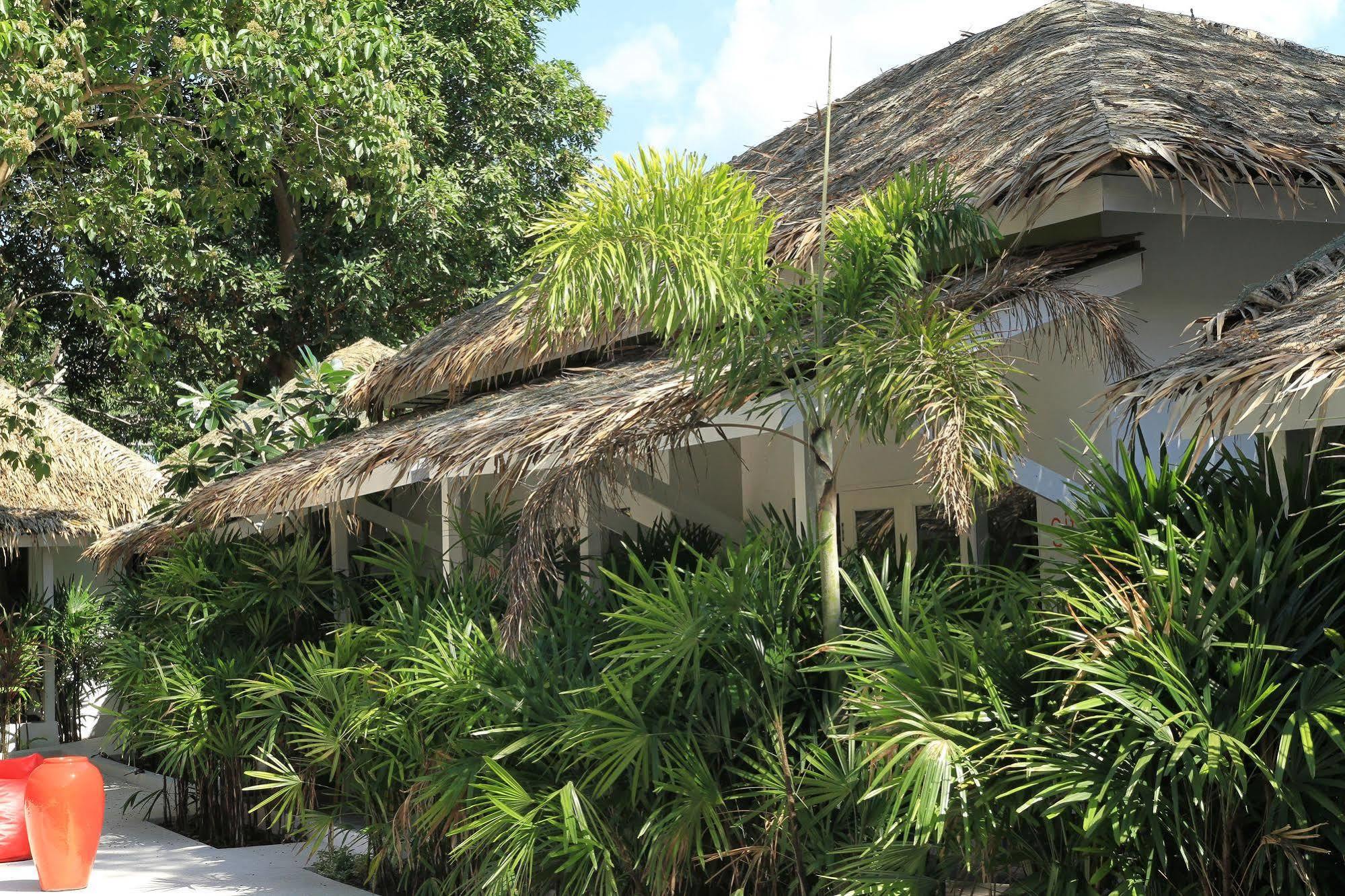 Hotel The White 3*