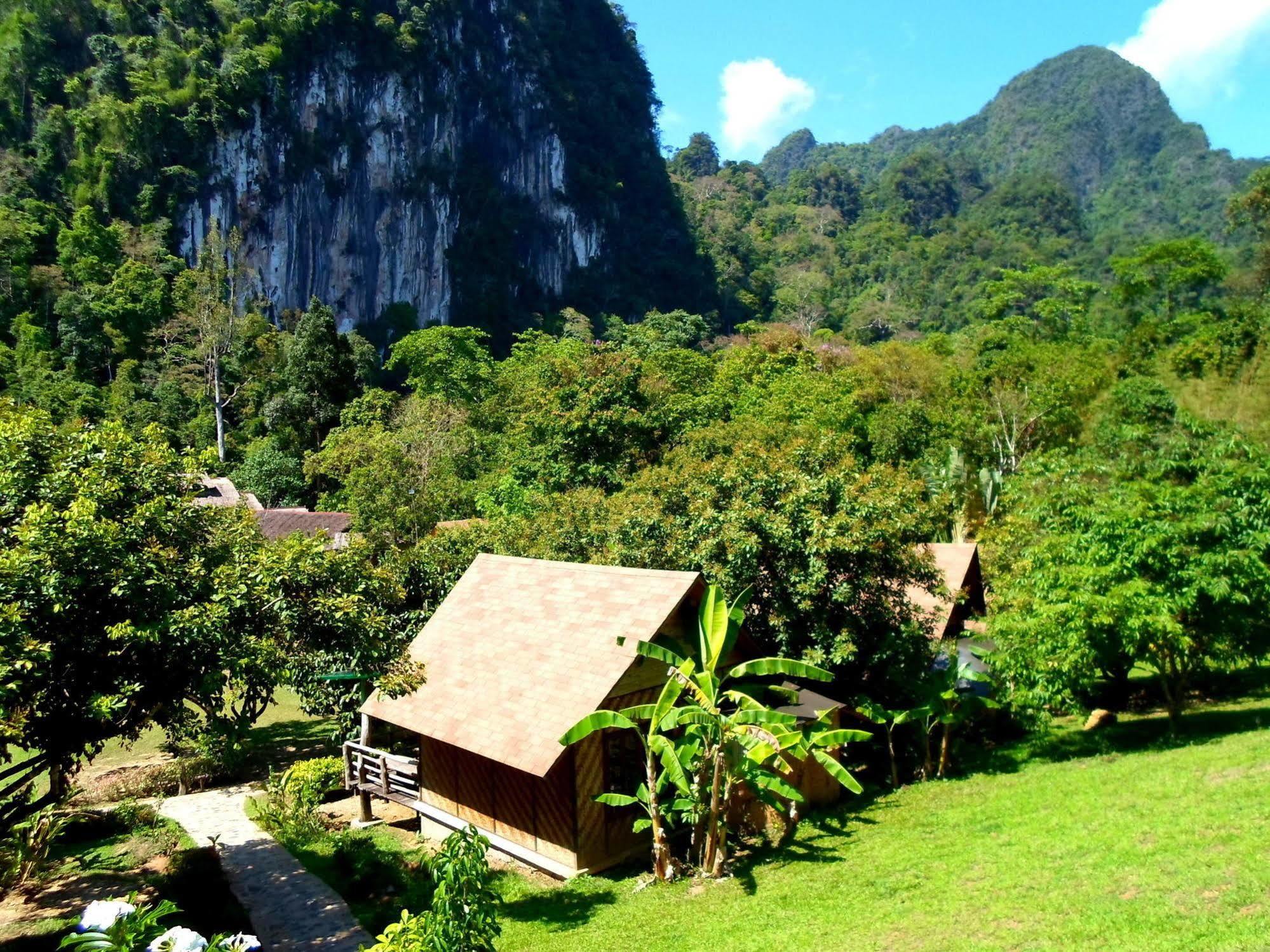 The Cliff & River Jungle