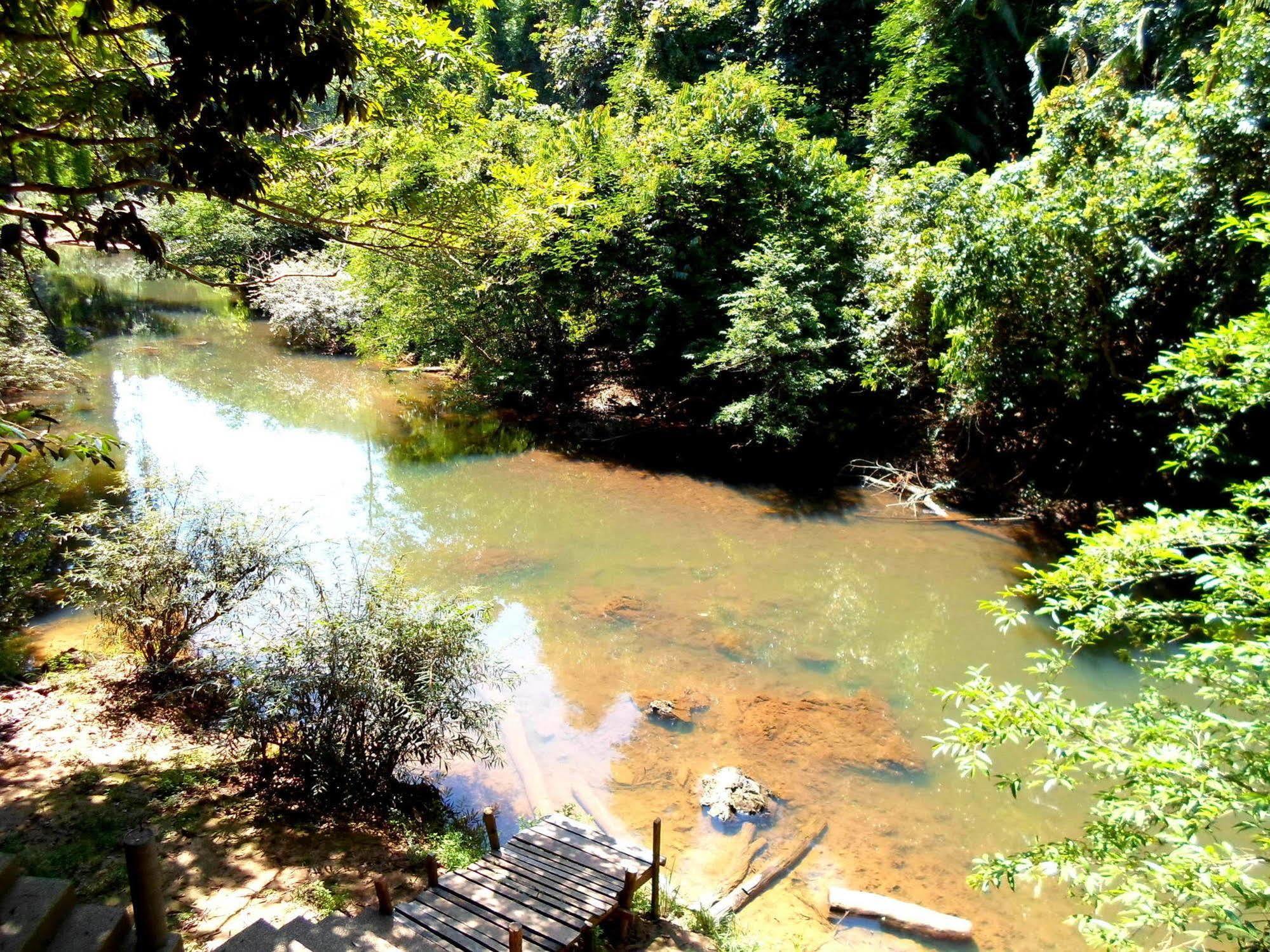 The Cliff & River Jungle