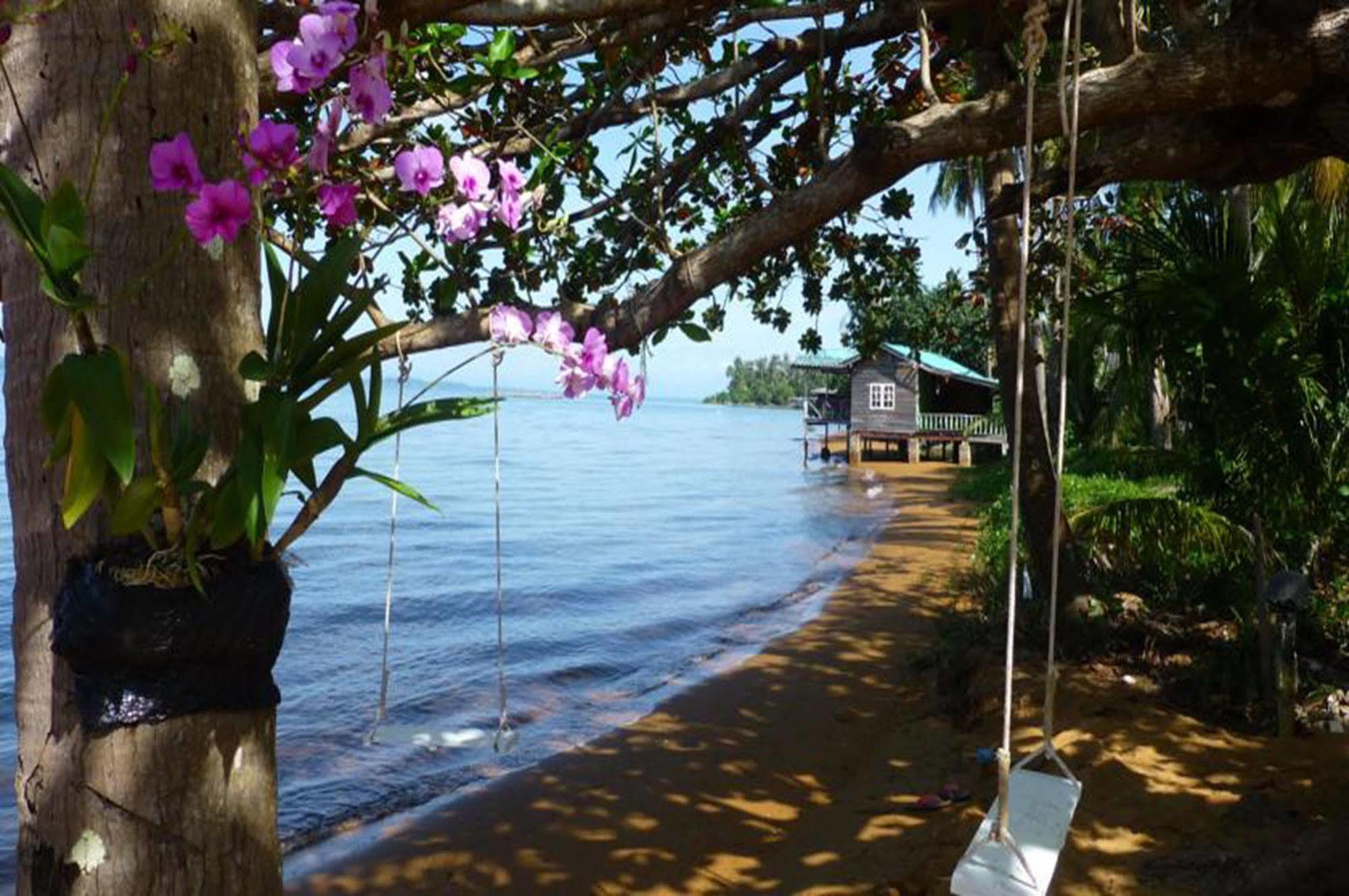 Serenity 3*