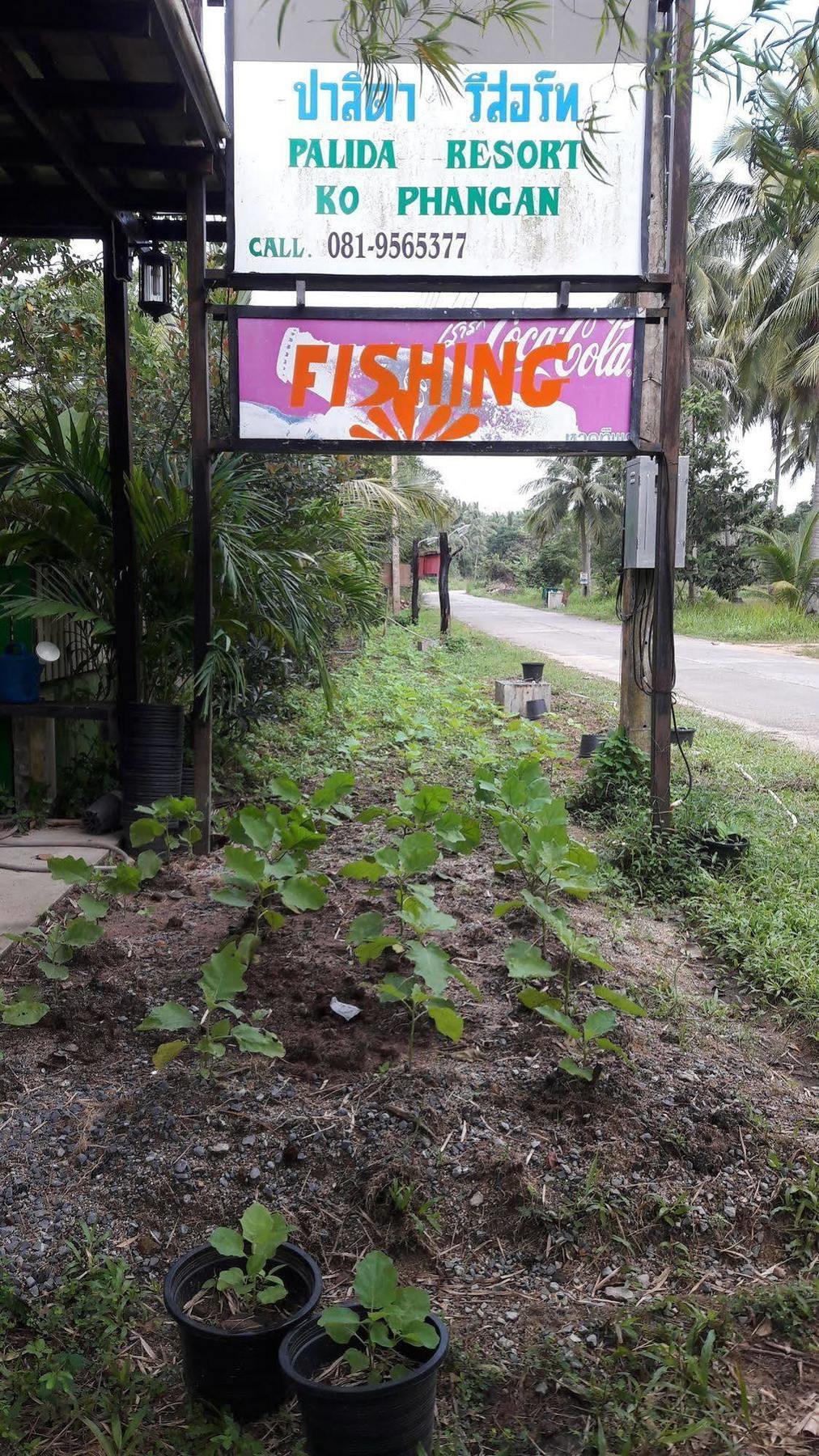 Phangan Farm