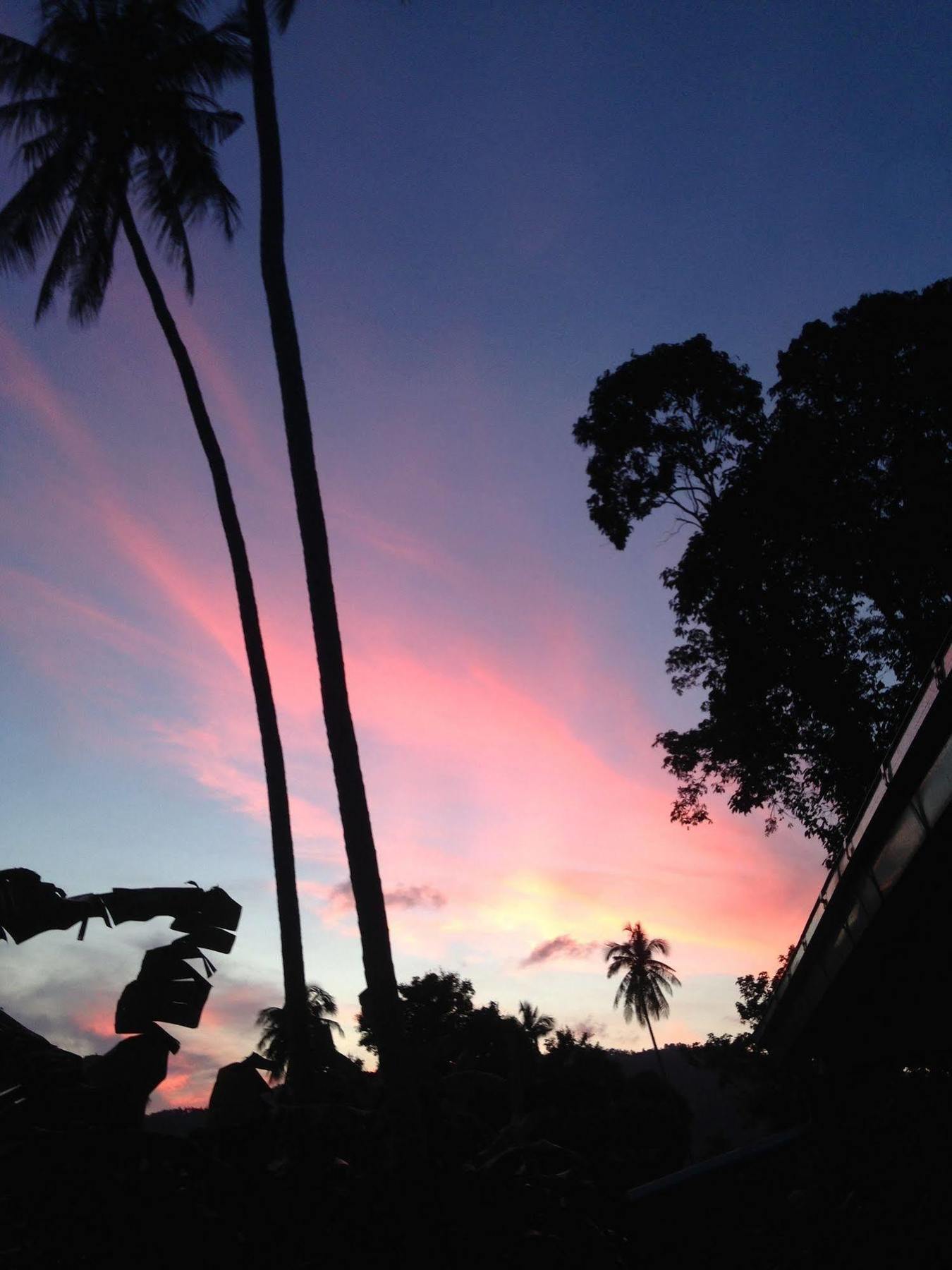 Pink House Guest house 3*