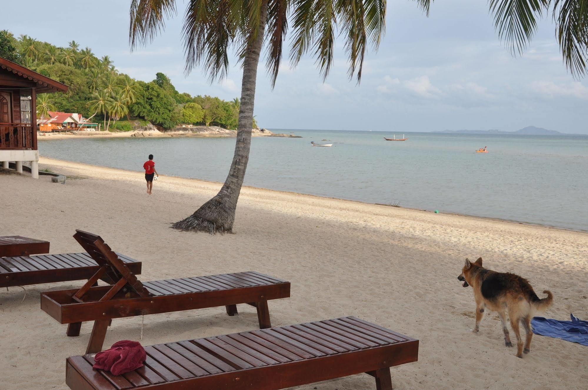 Resort Phangan Rainbow