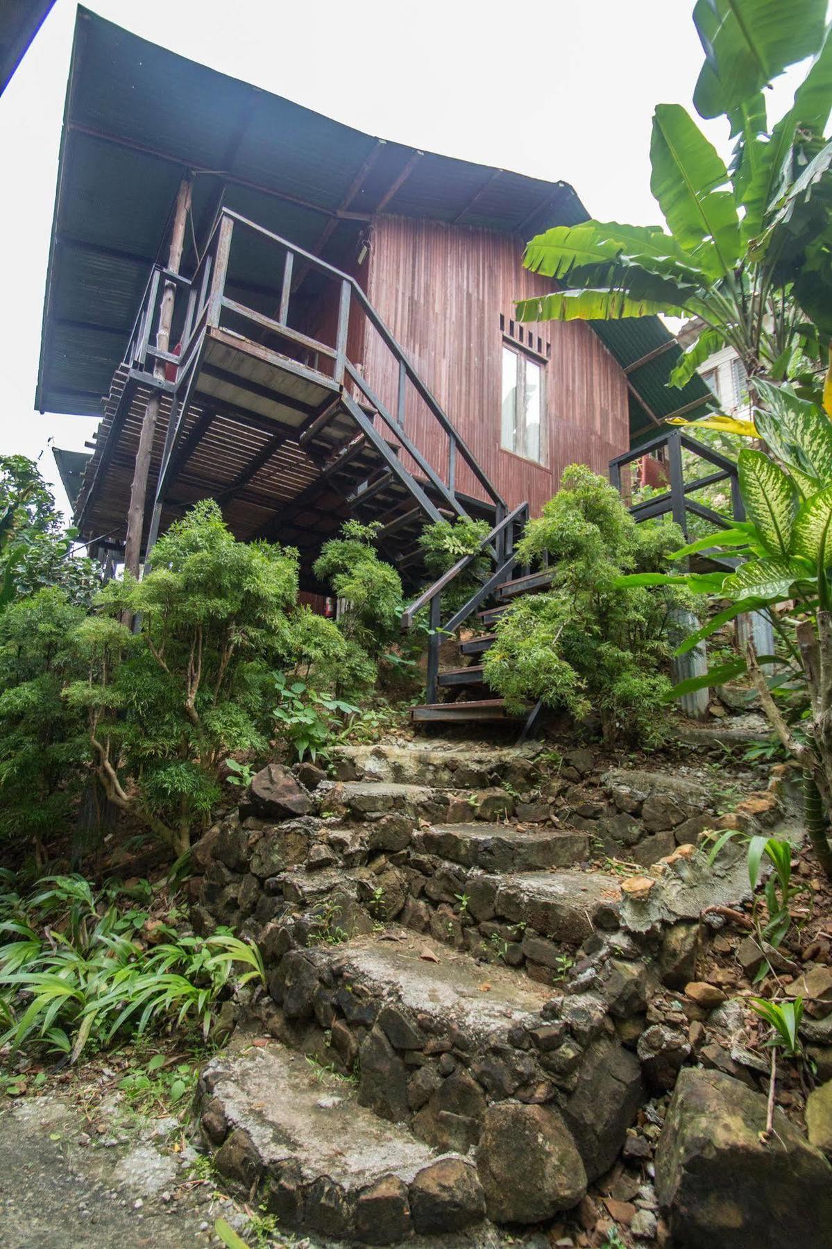 Tropical Garden 2*