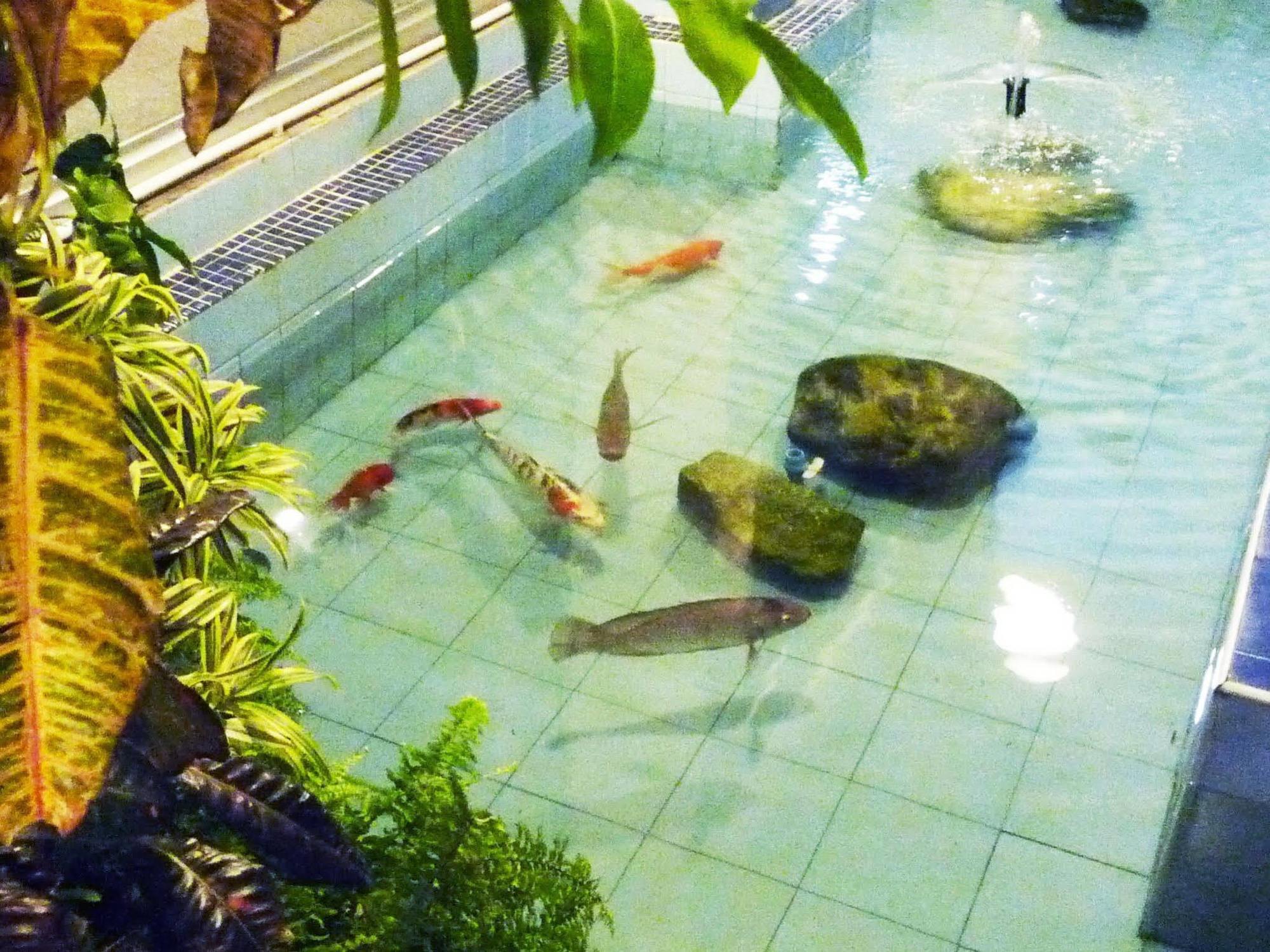 Hatyai Greenview Hotel