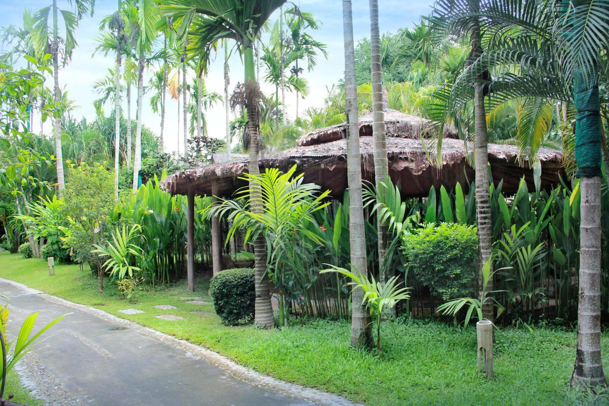 Island Pai