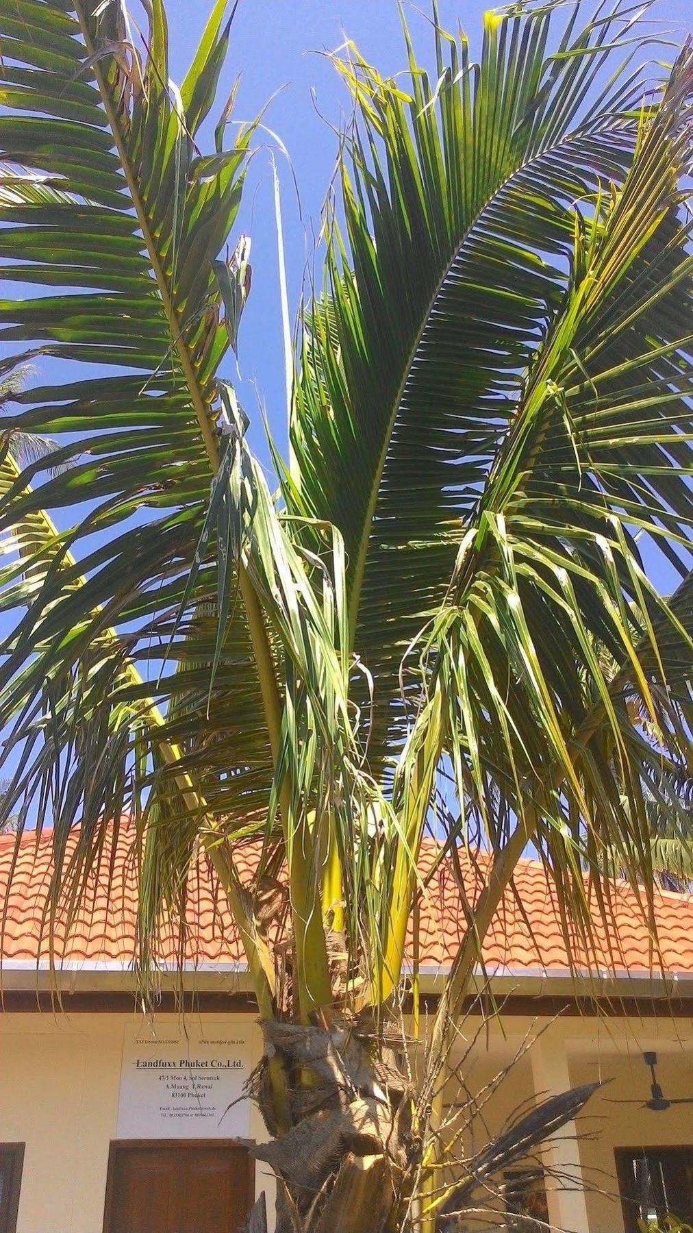 Garden 3*