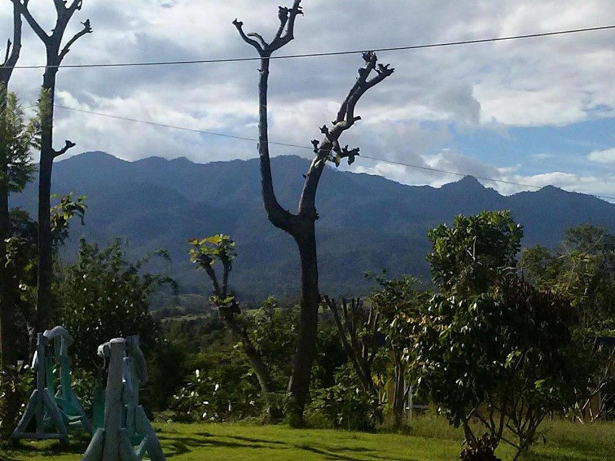 Tewdoi Garden * Pai