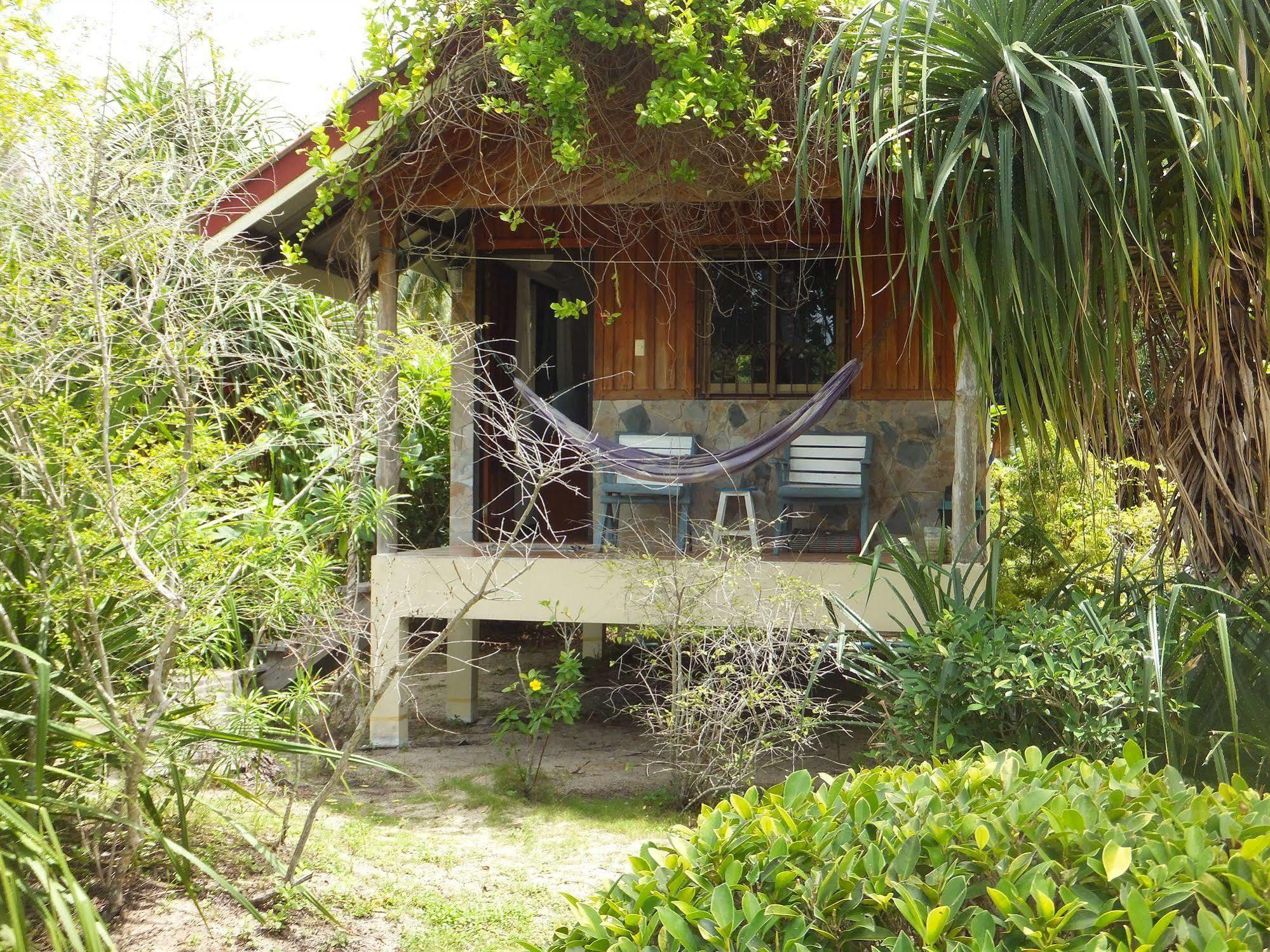 My Phangan