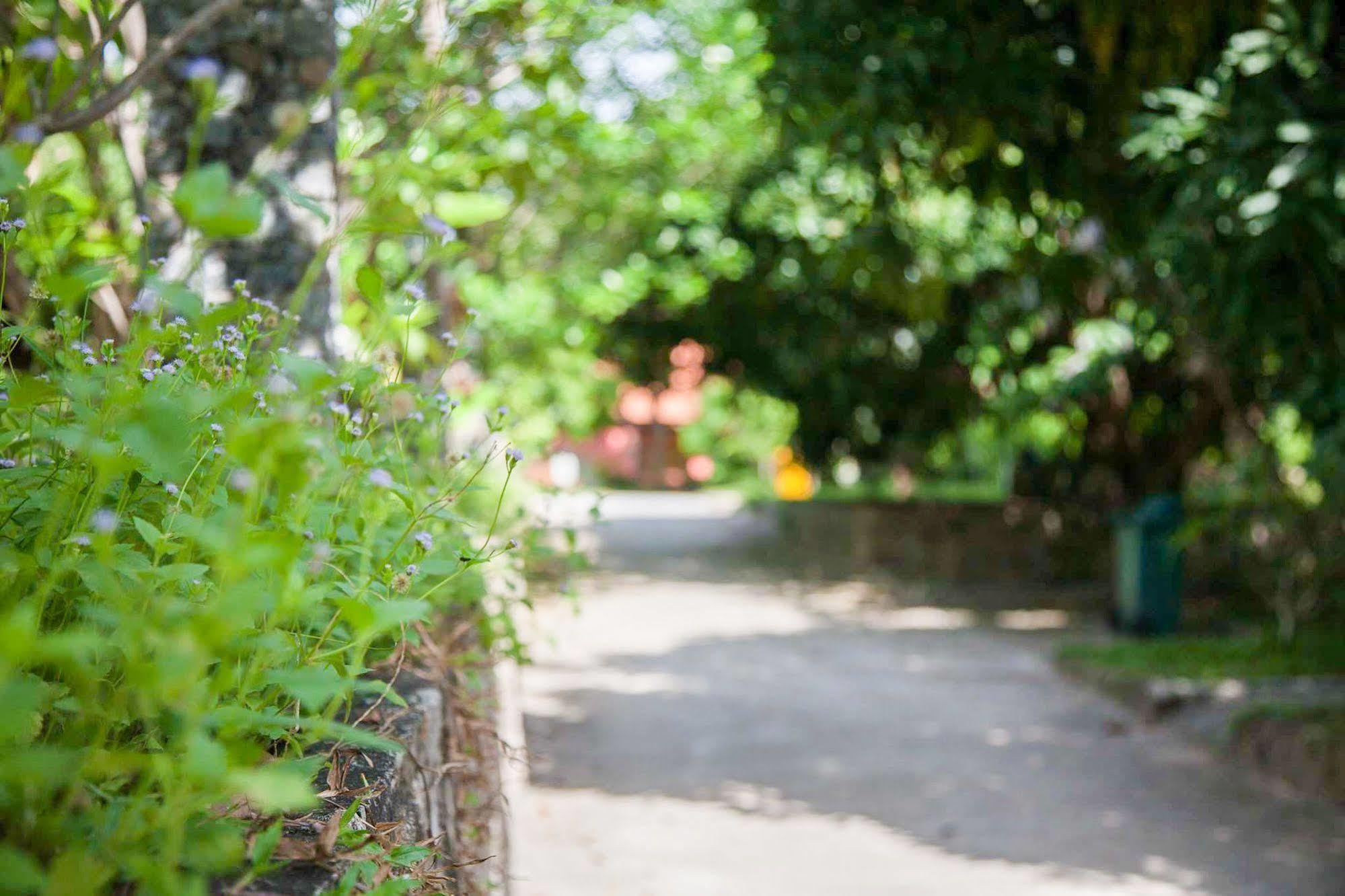 Garden Casa de hóspedes