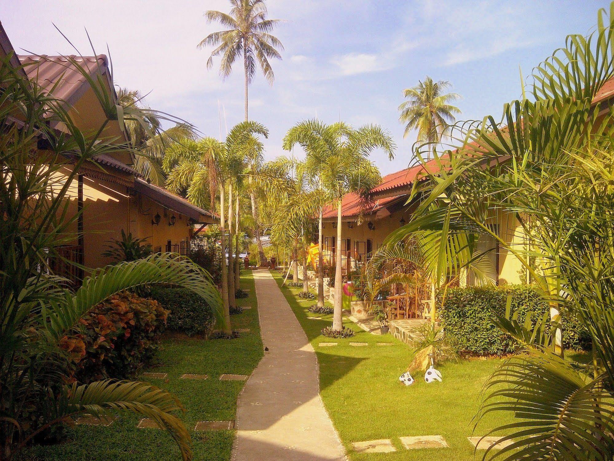 Paradise 2*
