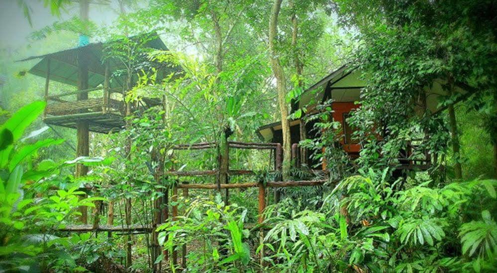 Khao Sok Tree House 4* Khao Sok National Park