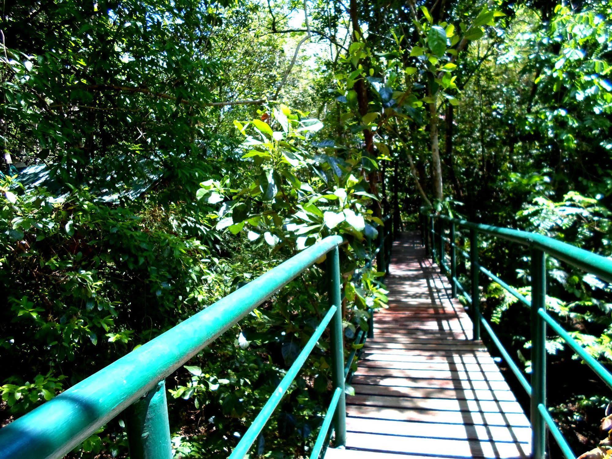 Khao Sok Tree House 4*