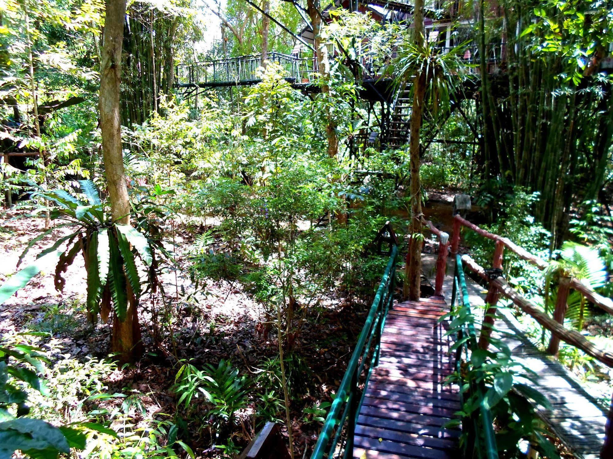 Khao Sok Tree House