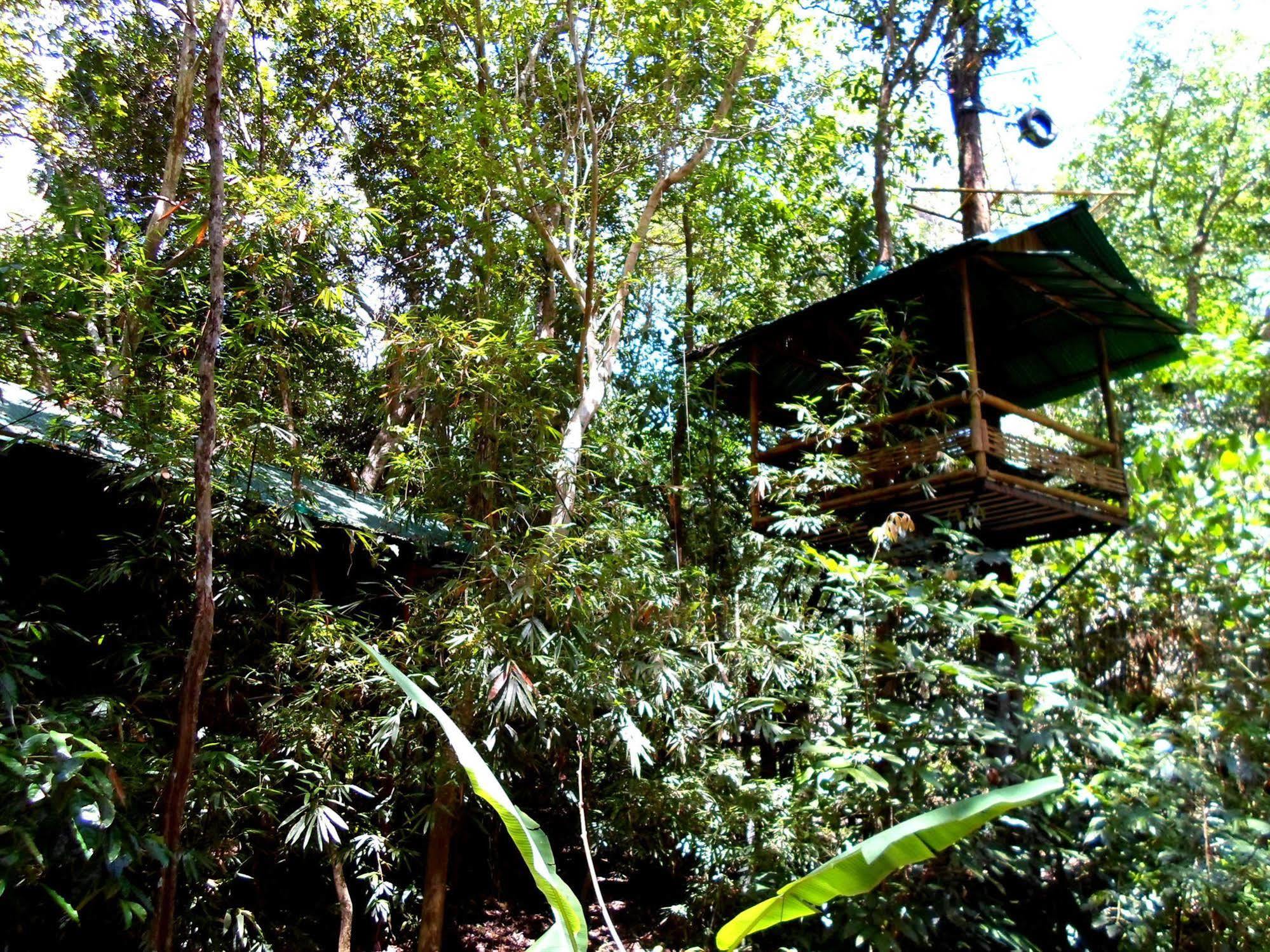 Khao Sok Tree House Resort Khao Sok National Park