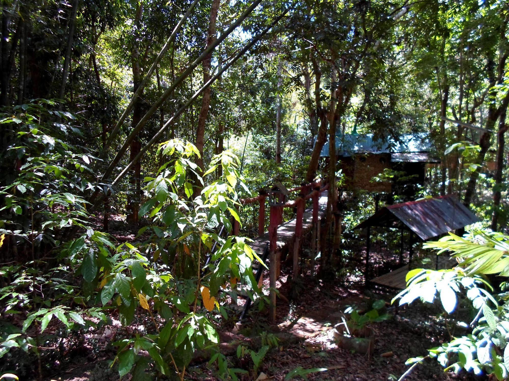 Khao Sok Tree House Resort