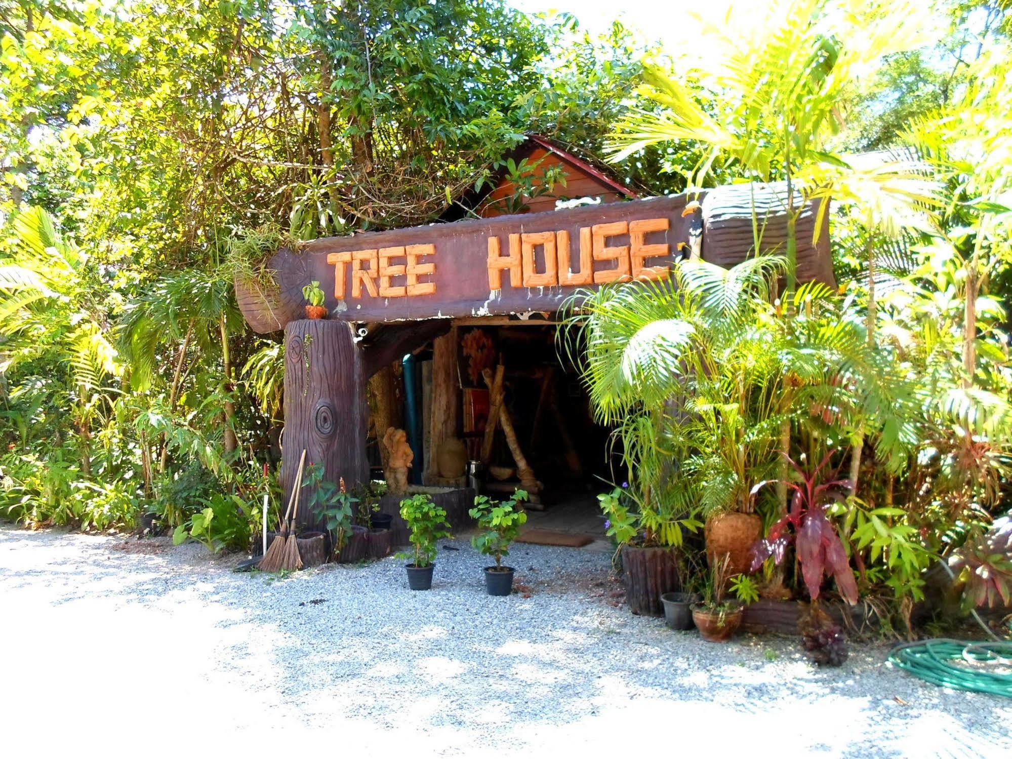 Khao Sok Tree House Khao Sok National Park