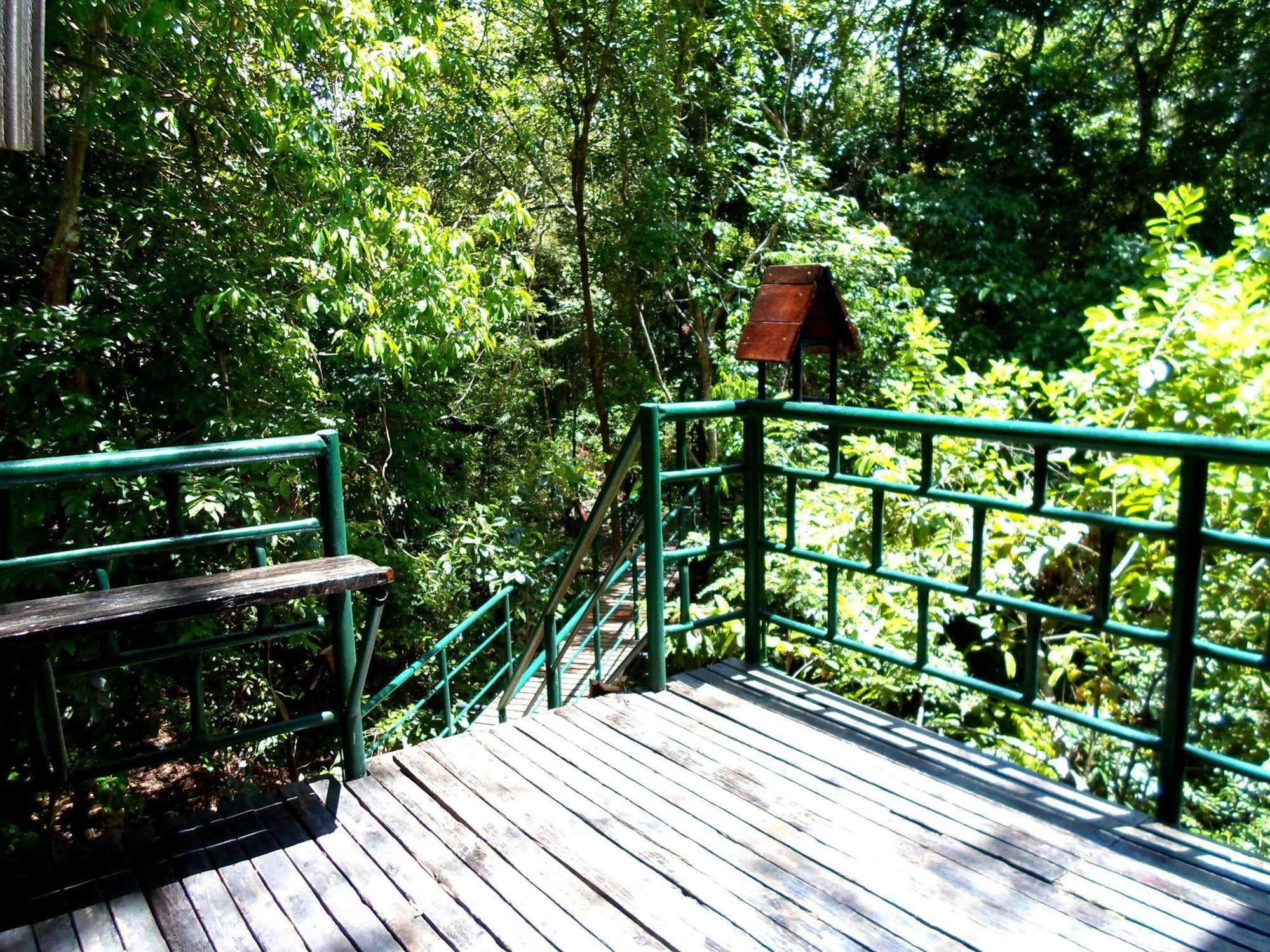 Khao Sok Tree House Resort Khao Sok National Park