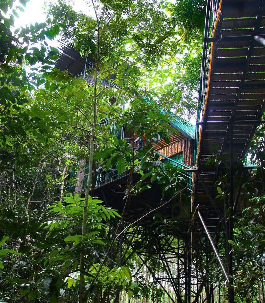 Resort Khao Sok Tree House Khao Sok National Park