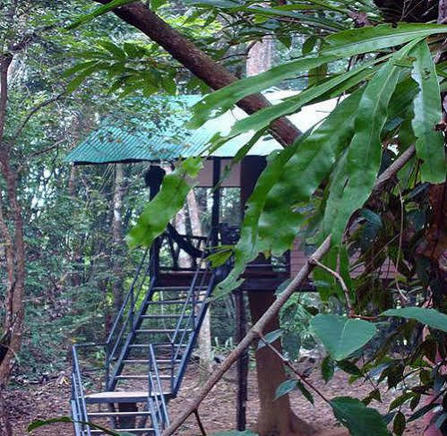 Khao Sok Tree House 4*