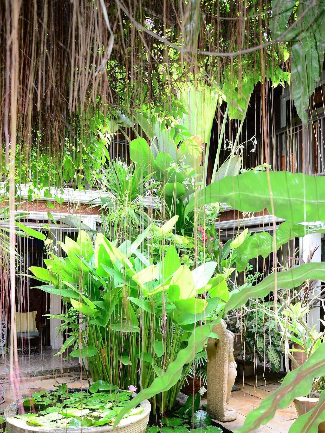 Resort White House Koh Samui