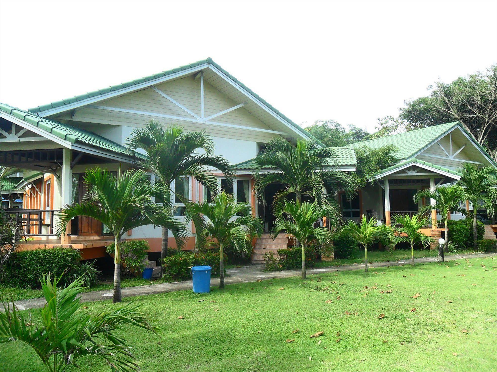 Lanta Palm , -