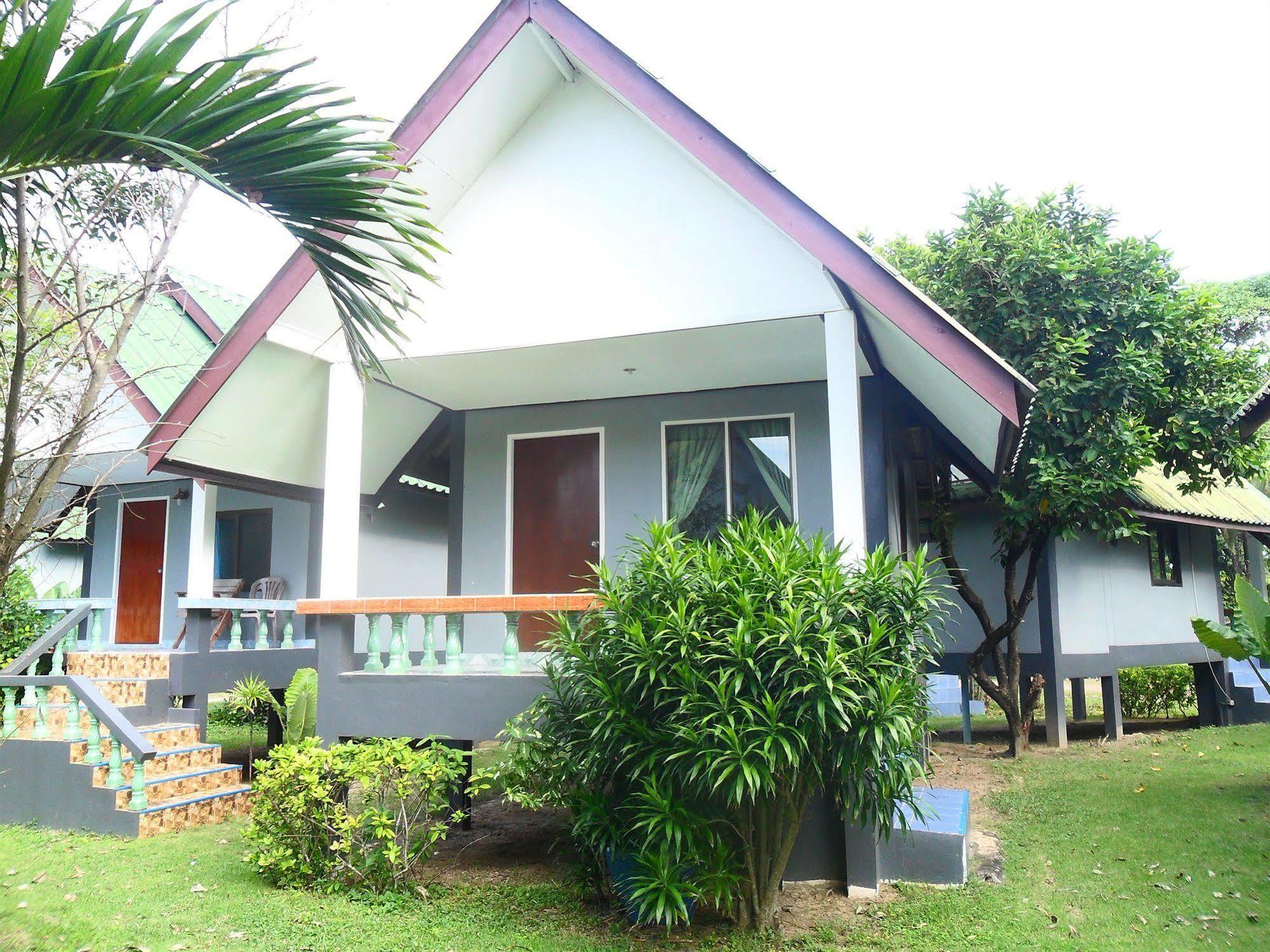 Lanta Palm , -