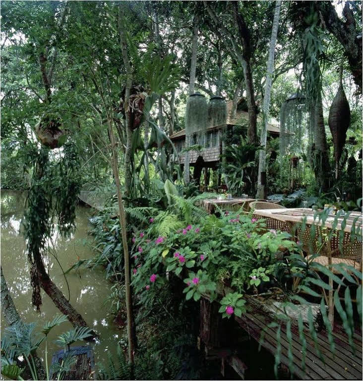 Fern Paradise Chiang Mai