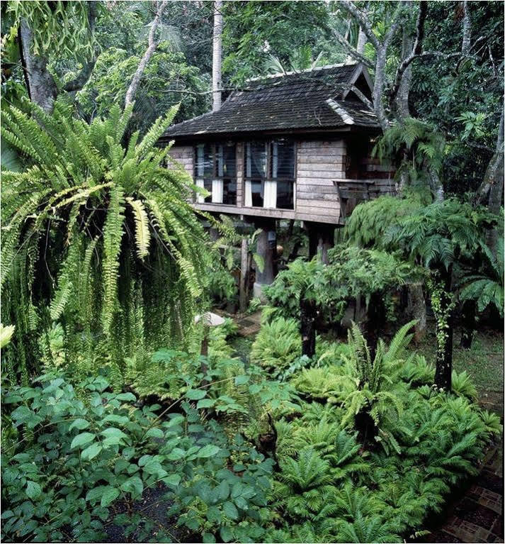 Fern Paradise Resort