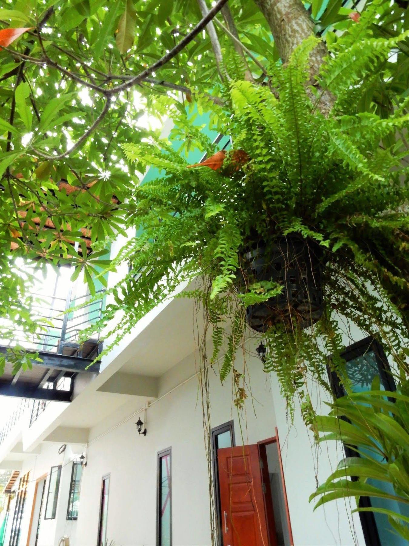 Wandee Hostel Khao Lak