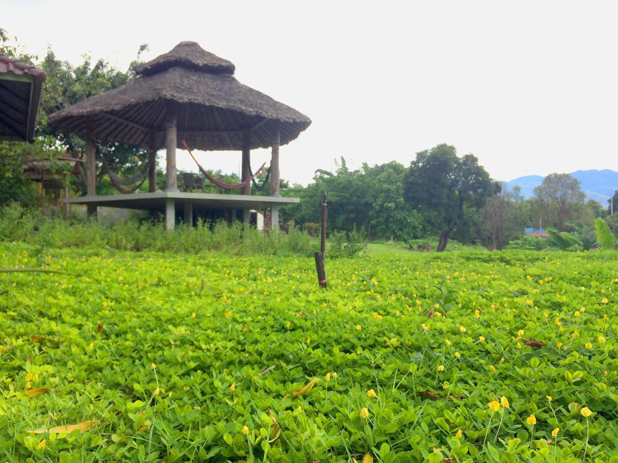 Kuadkhonthoe Holiday park Pai