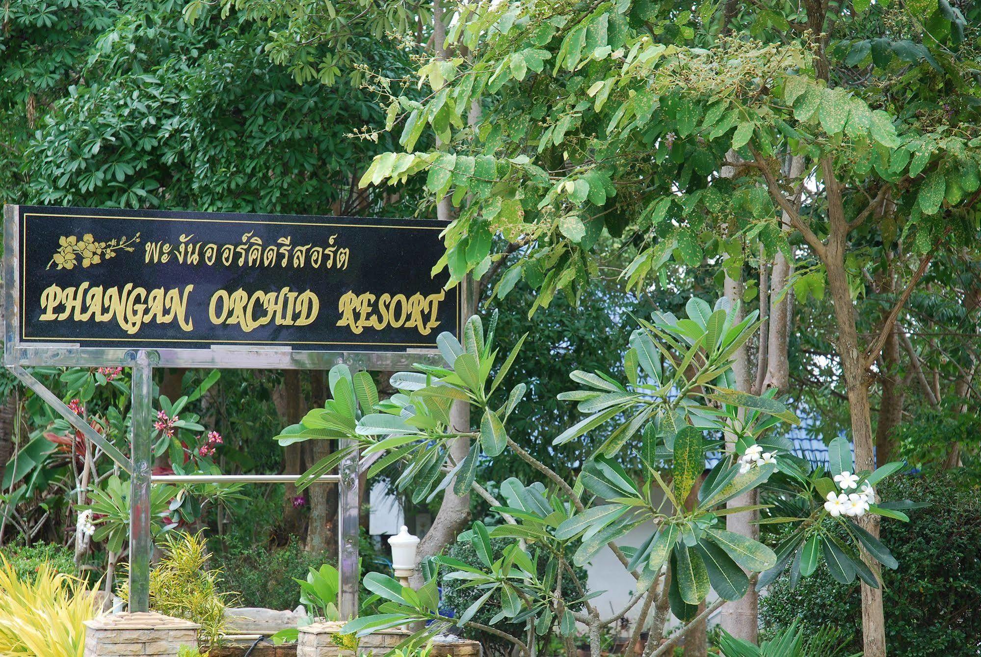 Phangan Orchid
