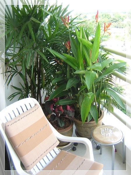 Apartamento View Talay *