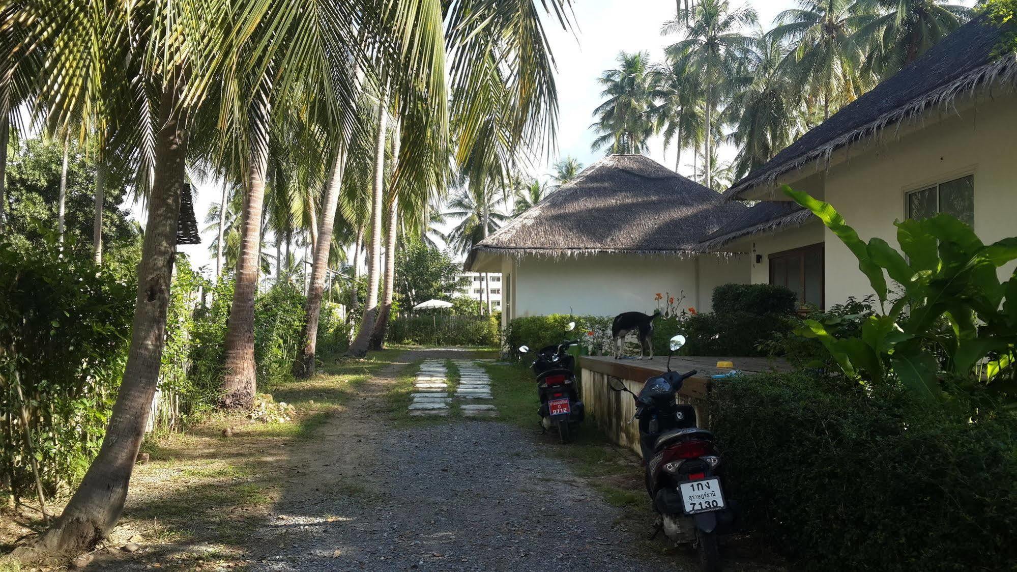 Gulaytu