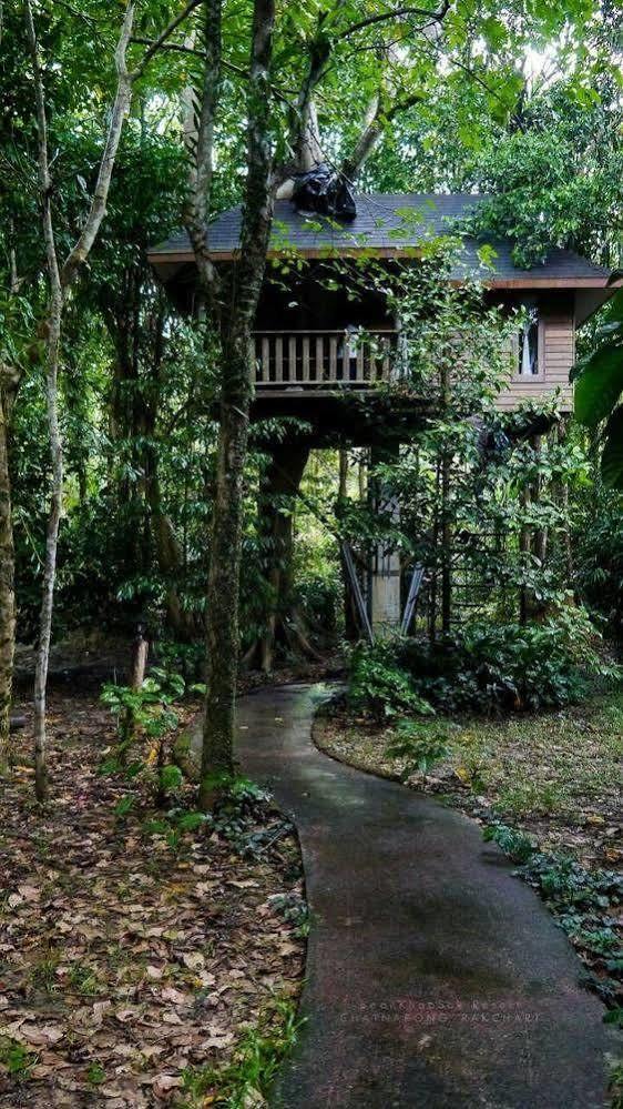 Baan Khao Sok Holiday park Khao Sok National Park
