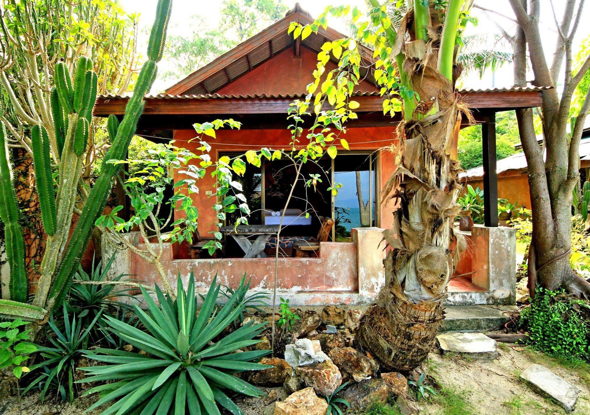 Cactus Koh Samui