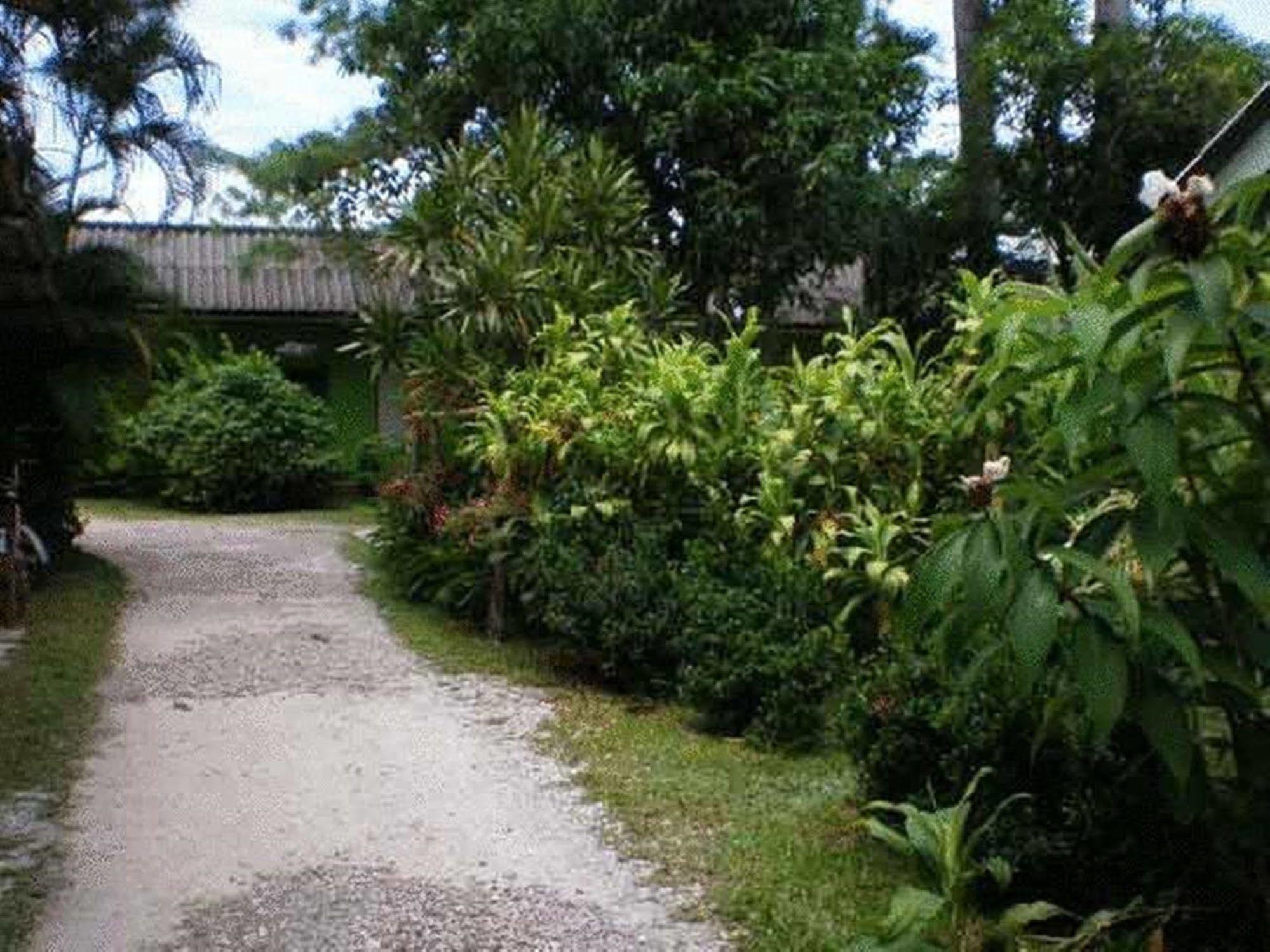 Baan Bua Chiang Rai