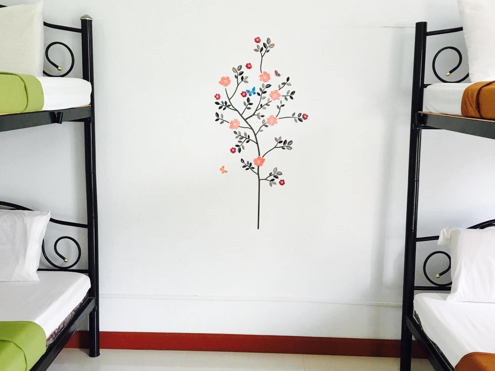Dd & Backpacker Hostel *