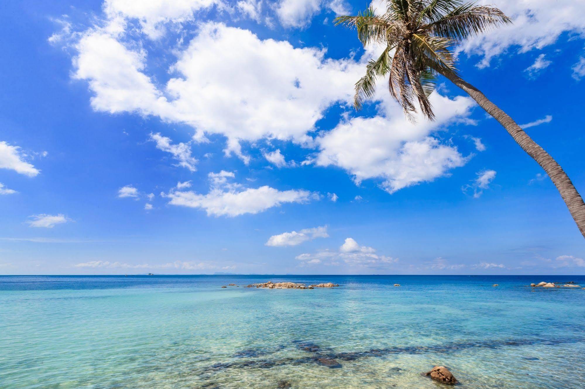 Beyond The Blue Horizon Boutique Resort